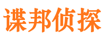 新洲侦探公司